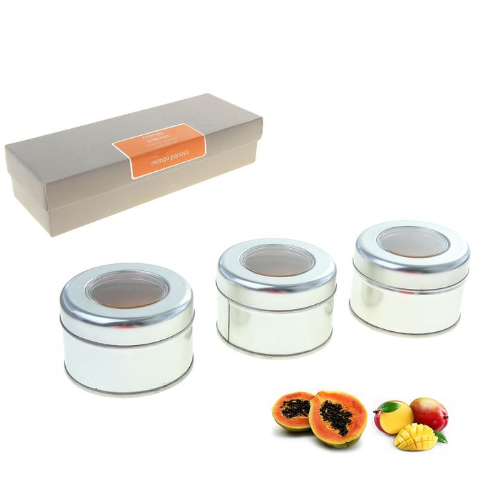 Набор свечей SILVER "Дижон" Манго-папайя, 3х70 мл