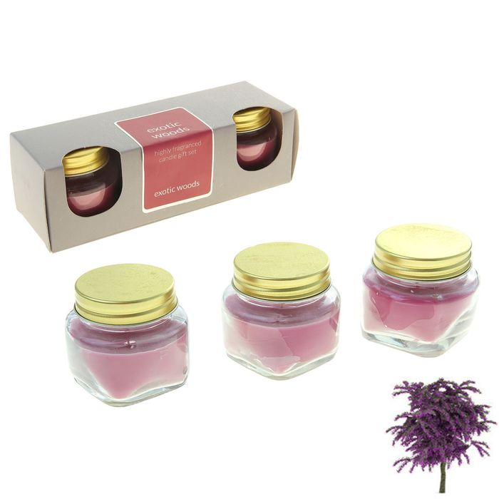 Набор свечей SILVER в банке Экзотическое дерево, 3х28 мл