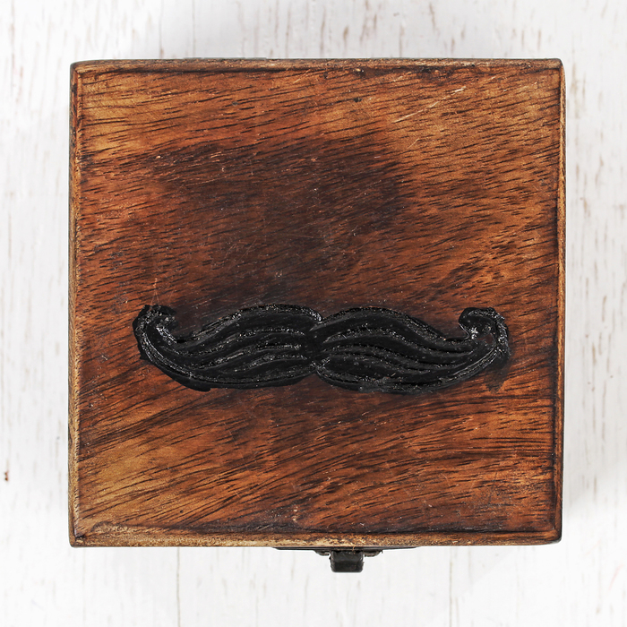 Шкатулка "Усики"