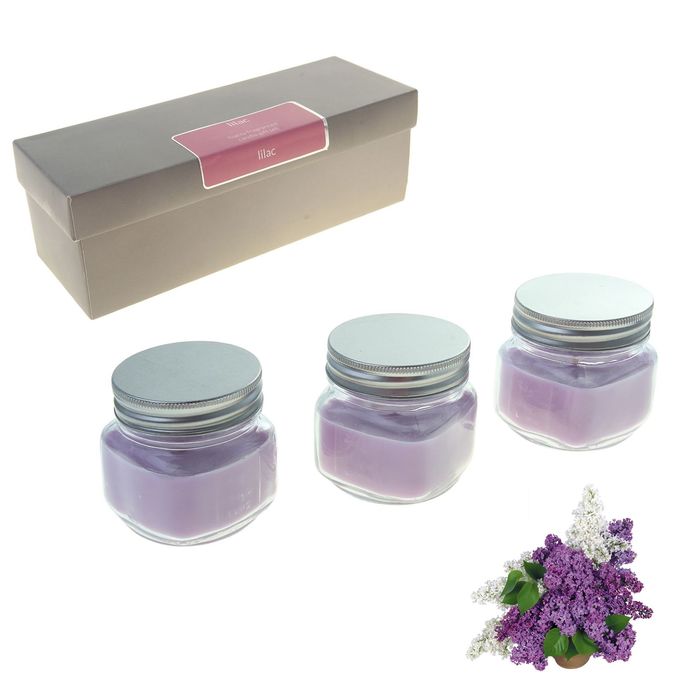 Набор свечей SILVER "Мэйсон" в банке Сирень, 3х112 мл