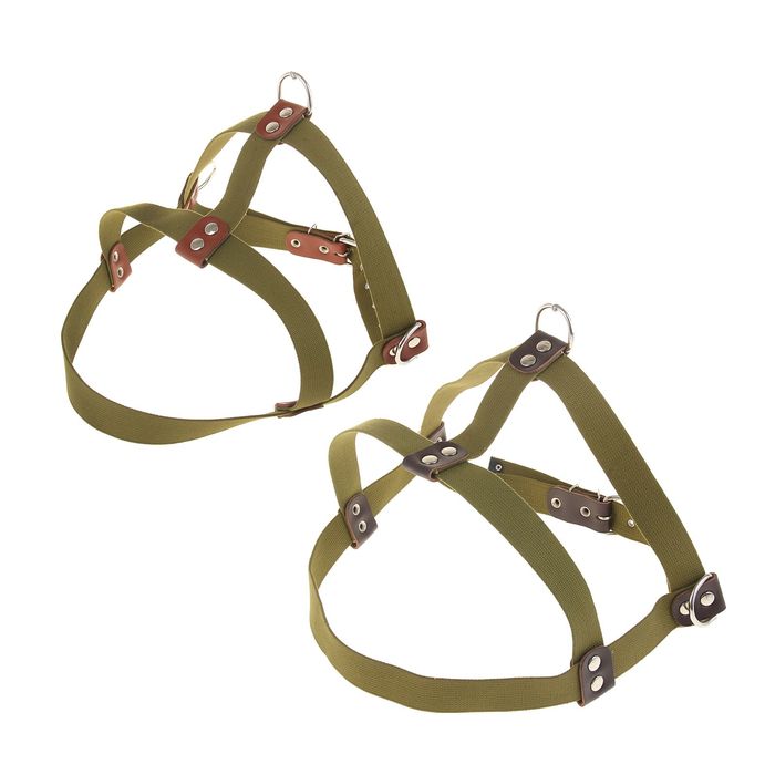 Шлейка брезентовая, 3,6 см на кавказскую овчарку, ОШ 85 см, ОГ 87-107 см