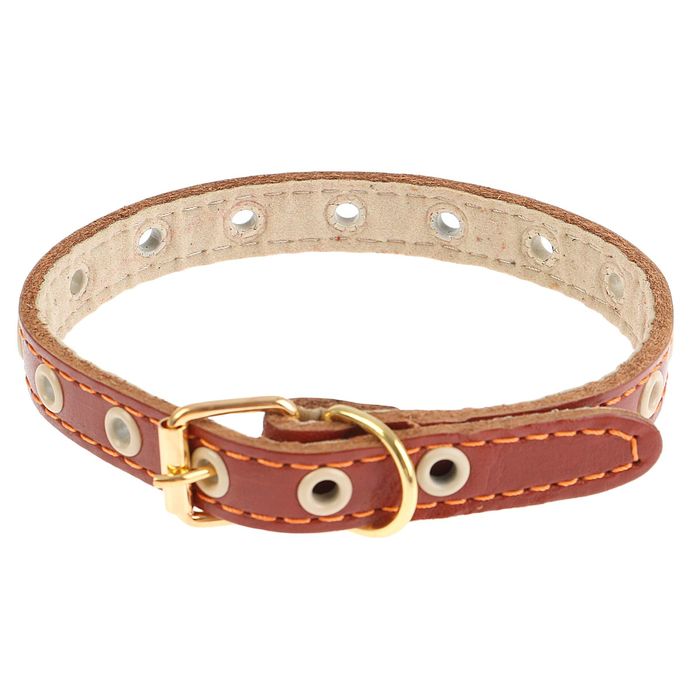 Ошейник кожаный с подкладом, 35 х 1,4 см, безразмерный микс цветов