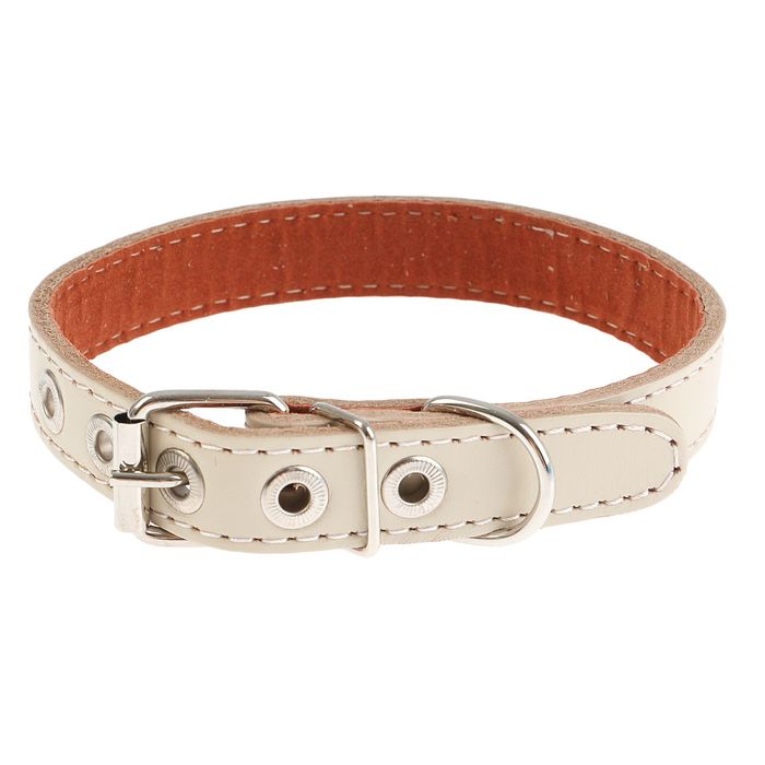 Ошейник кожаный с подкладом, 46 х 2 см микс цветов