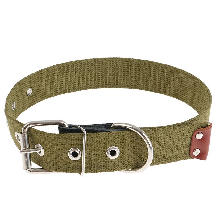 Ошейник брезентовый однослойный, 52 х 3,6 см микс цветов