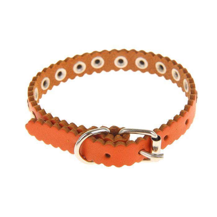 Ошейник кожаный однослойный, 29 х 1,2 см, клепаный микс цветов