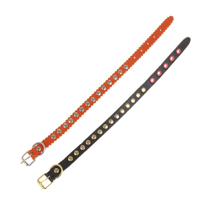 Ошейник кожаный однослойный, 29 х 1,2 см, клепаный микс цветов