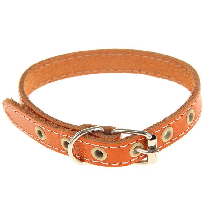 Ошейник кожаный однослойный, 38 х 1,4 см микс цветов