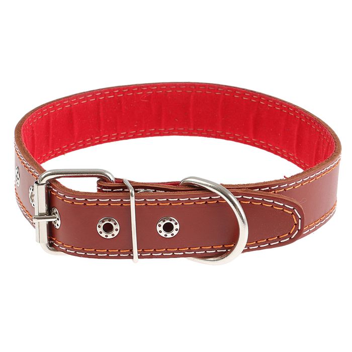 Ошейник кожаный с подкладом, 70 х 3,6 см микс цветов