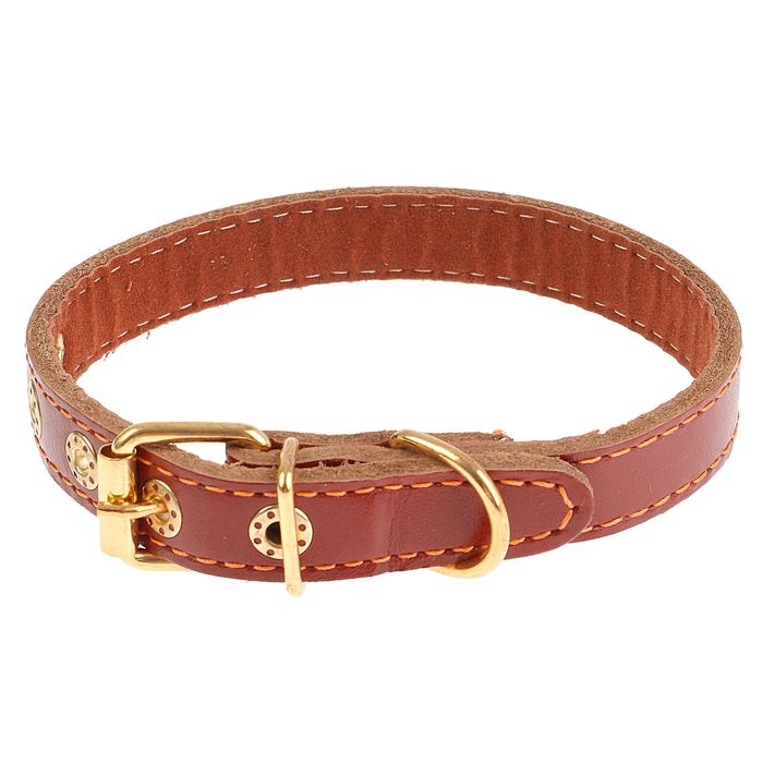 Ошейник кожаный с подкладом, 40 х 1,7 см микс цветов