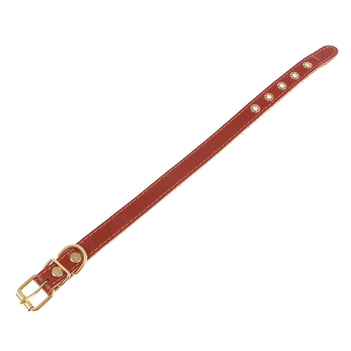 Ошейник кожаный с подкладом, 40 х 1,7 см микс цветов