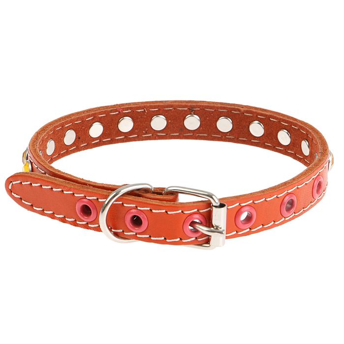 Ошейник кожаный с подкладом, 36 х 1,4 см, со стразами микс цветов