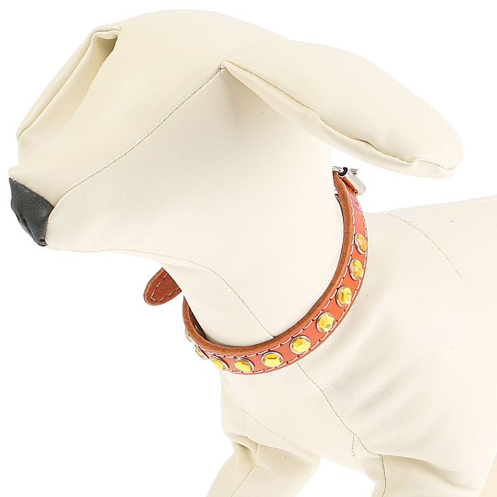 Ошейник кожаный с подкладом, 36 х 1,4 см, со стразами микс цветов