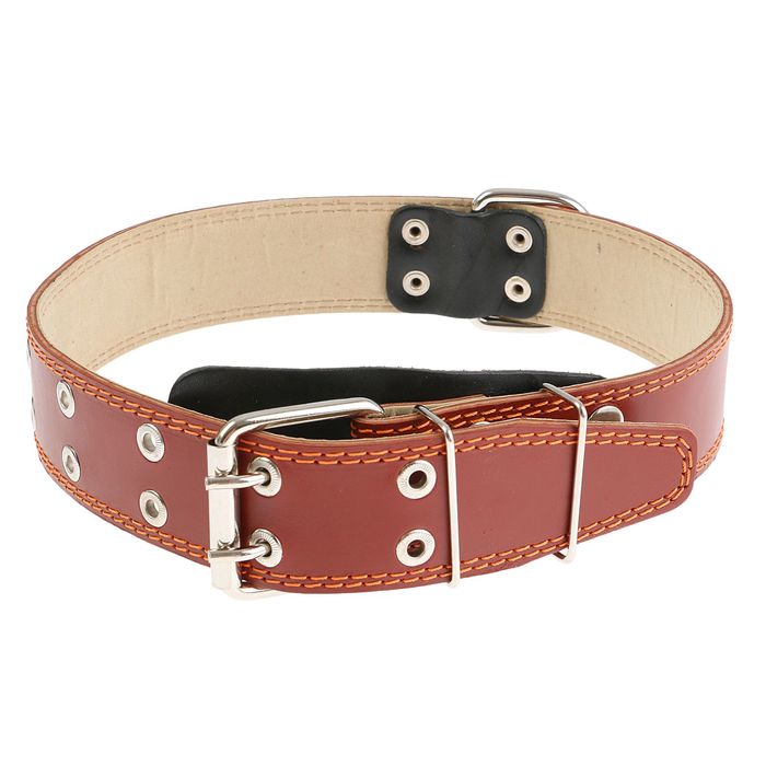 Ошейник кожаный с подкладом, 82,5 х 4,5 см, с выносным кольцом микс цветов