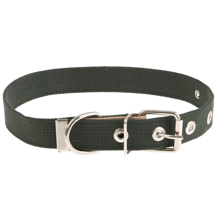 Ошейник брезентовый однослойный, 58 х 2,5 см микс цветов