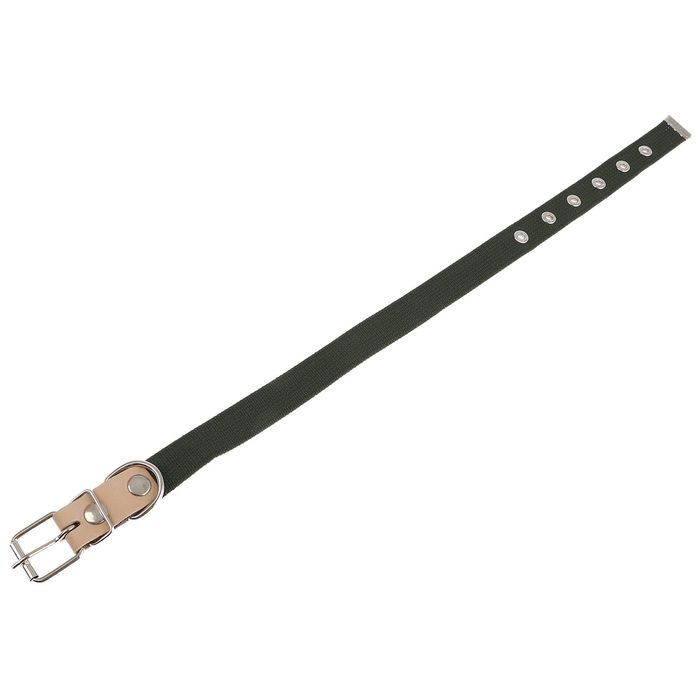 Ошейник брезентовый однослойный, 58 х 2,5 см микс цветов