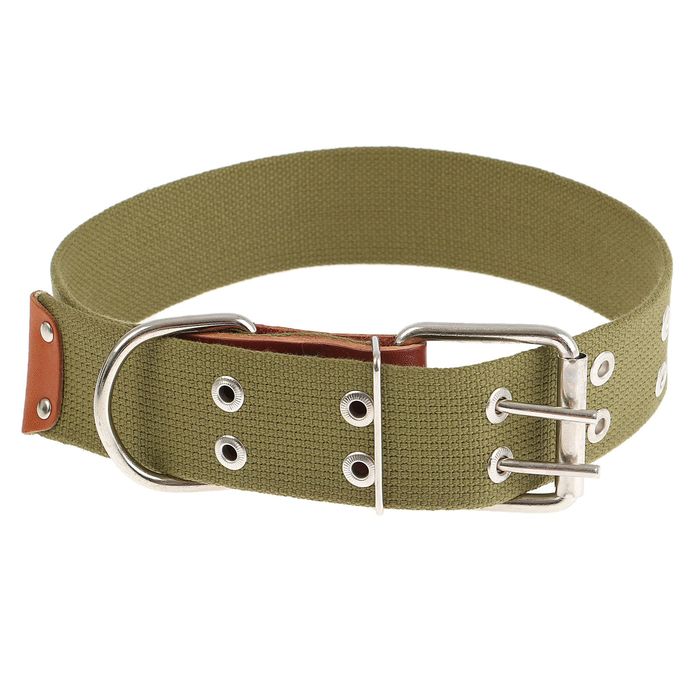 Ошейник брезентовый однослойный, 79 х 4,5 см микс цветов