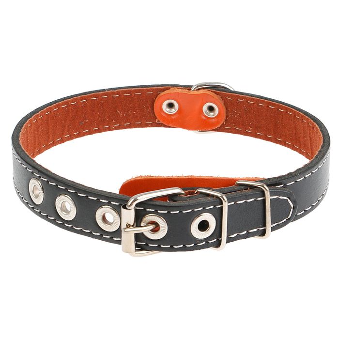 Ошейник кожаный с подкладом, 49 х 2 см, с выносным кольцом микс цветов
