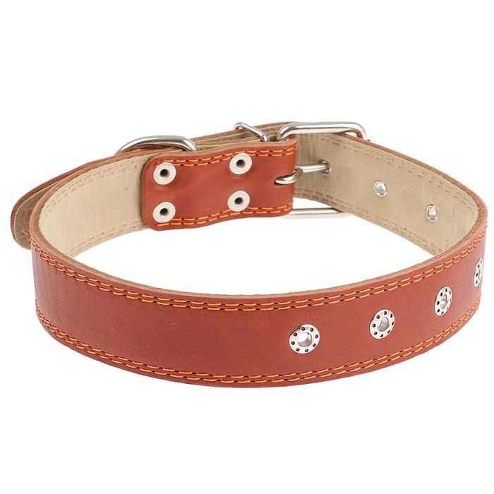 Ошейник кожаный с подкладом, 69 х 3,6 см, безразмерный микс цветов
