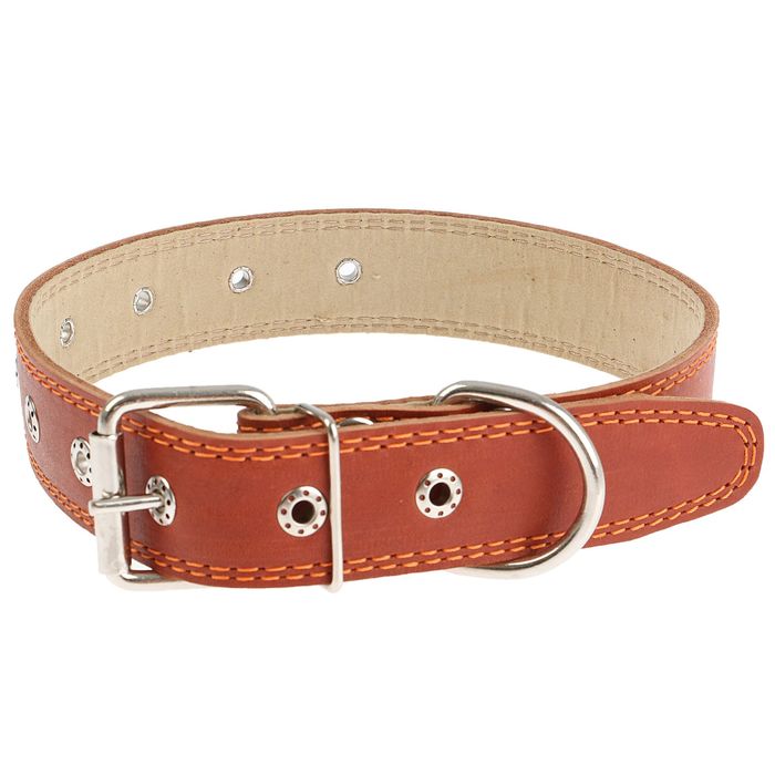 Ошейник кожаный с подкладом, 69 х 3,6 см, безразмерный микс цветов