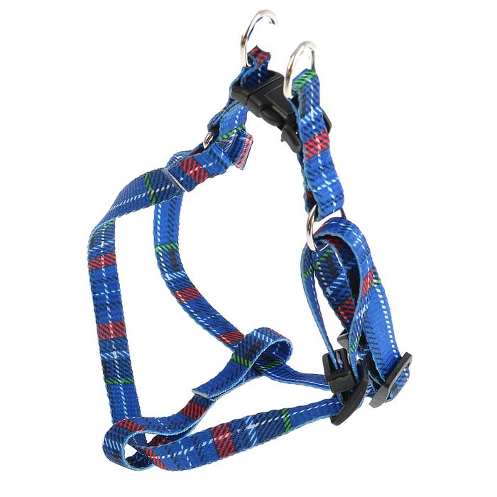 Комплект поводок 120 х 1 см и шлейка 24-40 х 1 см, капрон, микс цветов