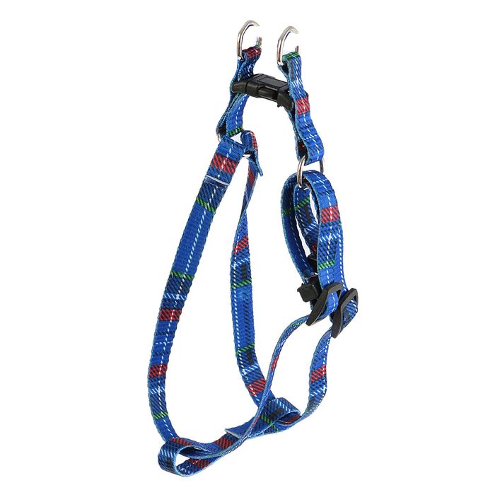 Комплект поводок 120 х 1 см и шлейка 24-40 х 1 см, капрон, микс цветов