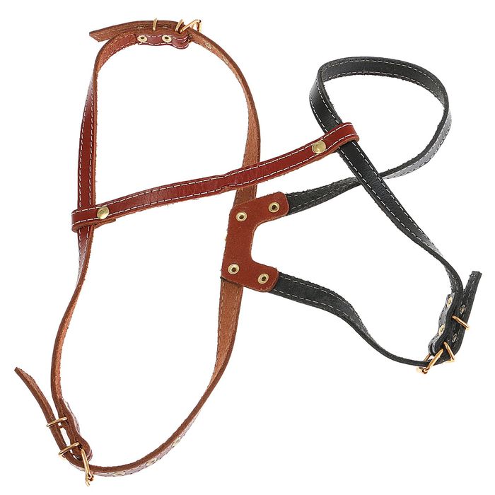 Шлейка для чау-чау, ОШ 72-80 см, ОГ 66-86 см