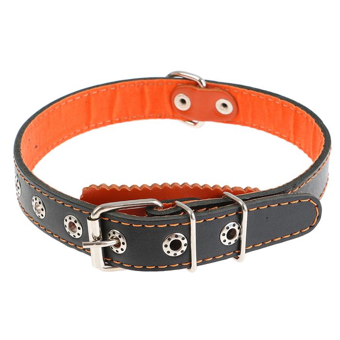 Ошейник кожаный с подкладом, 50 х 2,5 см, с выносным кольцом микс цветов