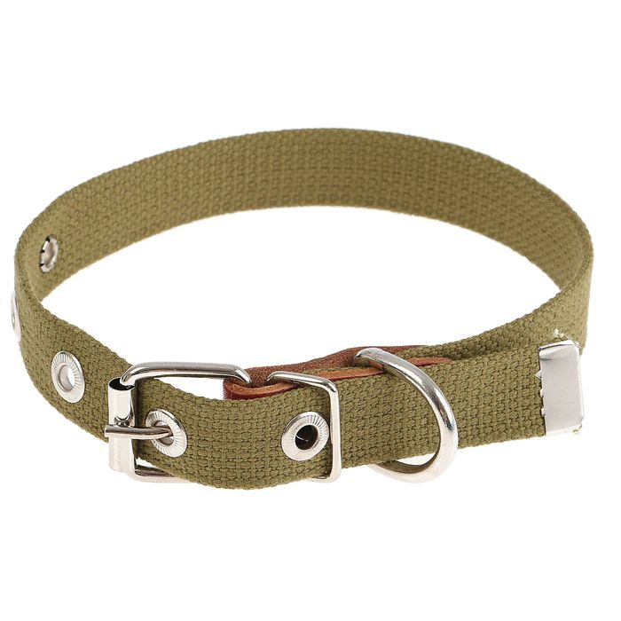 Ошейник брезентовый однослойный, 45 х 2 см микс цветов