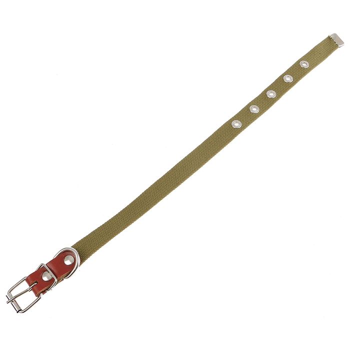 Ошейник брезентовый однослойный, 45 х 2 см микс цветов