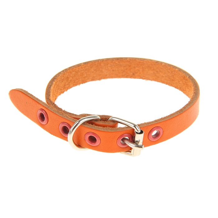 Ошейник кожаный однослойный, 30 х 1,2 см микс видов и цветов