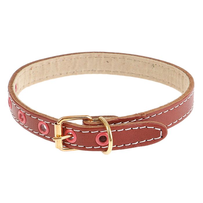 Ошейник кожаный с подкладом, 35 х 1,4 см микс цветов