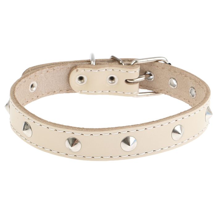 Ошейник кожаный однослойный, 37 х 2 см, с металлофурнитурой микс видов и цветов