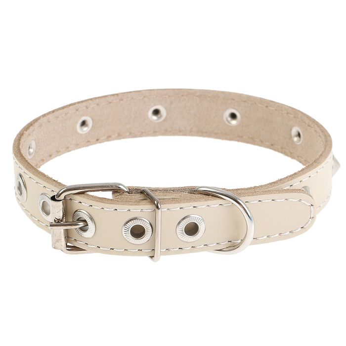 Ошейник кожаный однослойный, 37 х 2 см, с металлофурнитурой микс видов и цветов