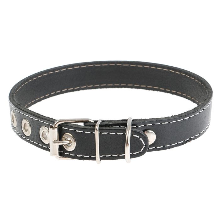 Ошейник кожаный однослойный, 45 х 2 см микс цветов