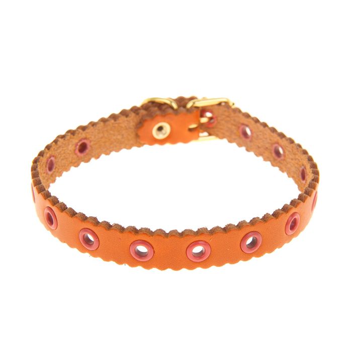 Ошейник кожаный однослойный, 30 х 1,2 см, безразмерный микс видов и цветов