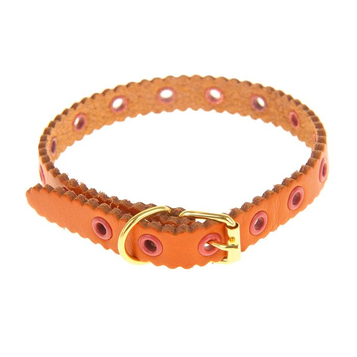 Ошейник кожаный однослойный, 30 х 1,2 см, безразмерный микс видов и цветов