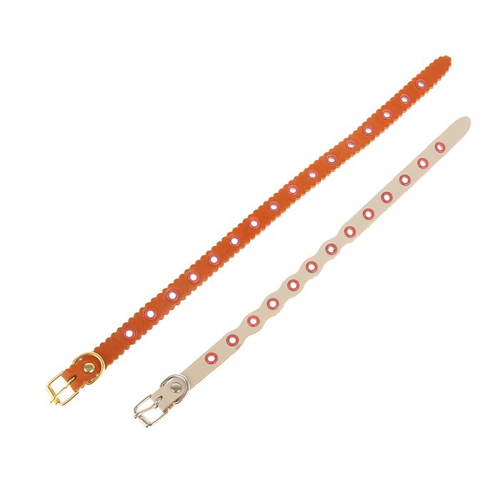 Ошейник кожаный однослойный, 30 х 1,2 см, безразмерный микс видов и цветов