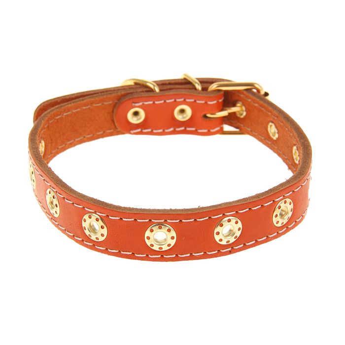 Ошейник кожаный однослойный, 47,5 х 2 см, безразмерный микс цветов