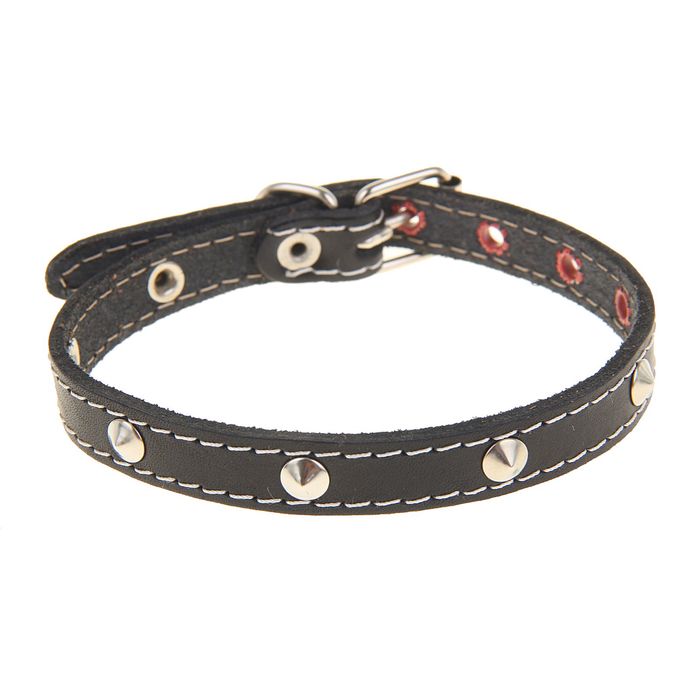 Ошейник кожаный однослойный, 35 х 1,4 см, с металлофурнитурой микс