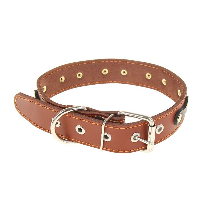 Ошейник кожаный однослойный, 67 х 3,6 см, с металлофурнитурой микс цветов