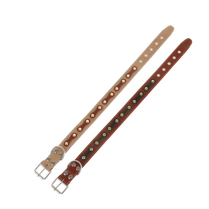 Ошейник кожаный однослойный, 67 х 3,6 см, с металлофурнитурой микс цветов