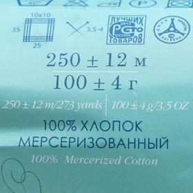 

Пряжа "Классический хлопок" 100% мерсеризованный хлопок 250м/100гр (698-Т.фиолетовый)