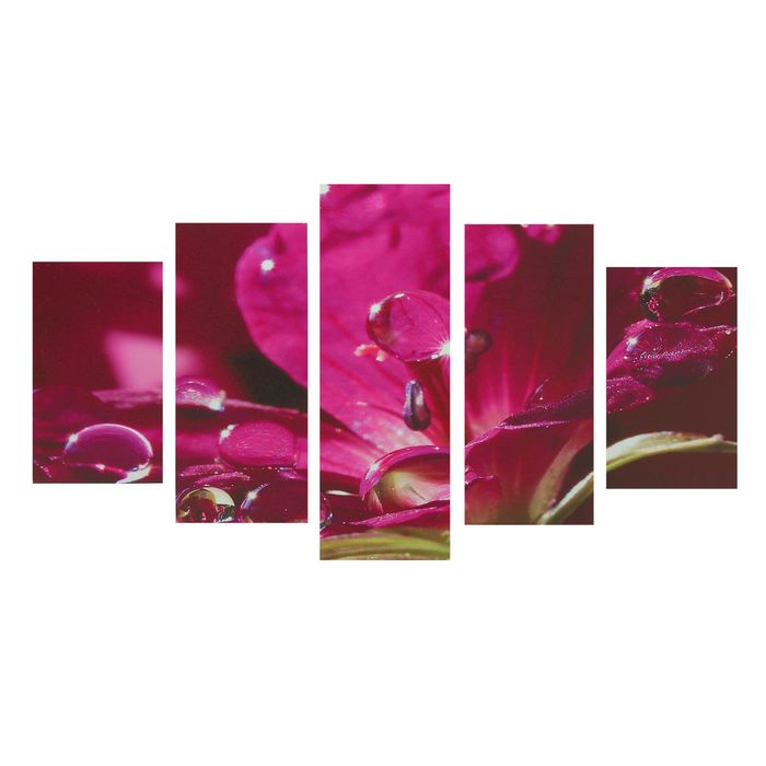 Модульная картина на подрамнике "Алый восторг", 2 — 43×25, 2 — 58×25, 1 — 72×25 см, 75×135 см