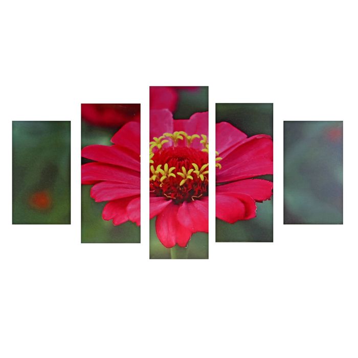 Модульная картина на подрамнике "Алый цвет", 2 — 43×25, 2 — 58×25, 1 — 72×25 см, 72×125 см