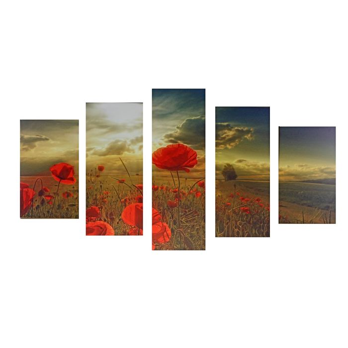 Модульная картина на подрамнике "Поле с маками", 2 — 43×25, 2 — 58×25, 1 — 72×25 см, 75×135 см