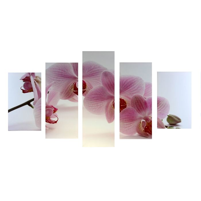Модульная картина на подрамнике "Нежность лепестков орхидеи", 72×125 см