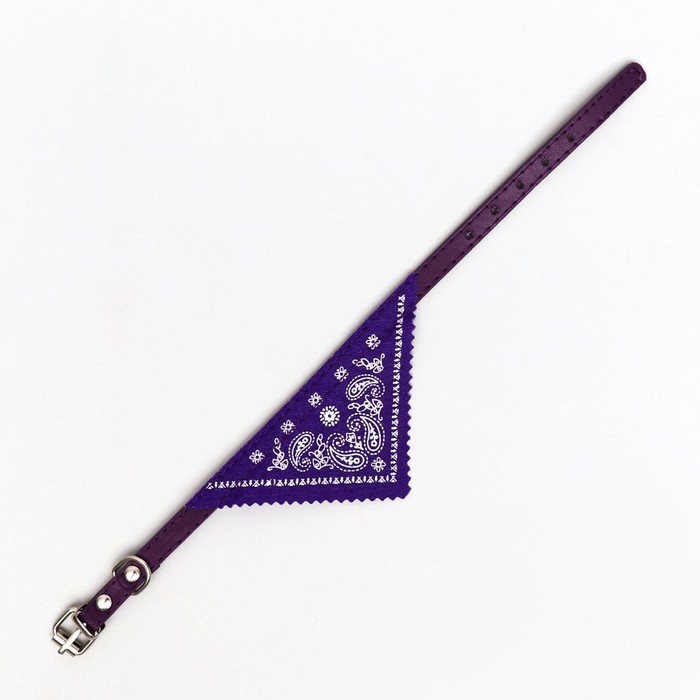 Ошейник с косынкой 32 х 1 см, фиолетовый