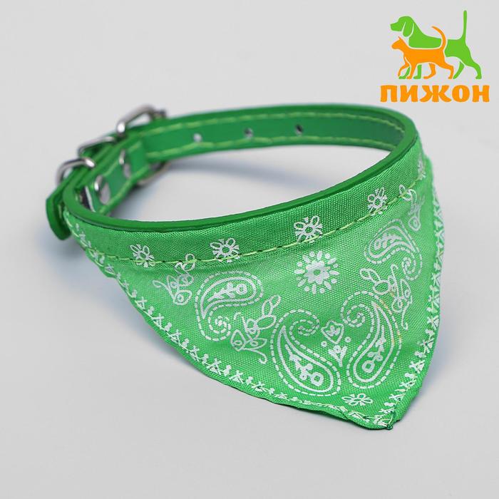 Ошейник с косынкой 32 х 1 см, зеленый