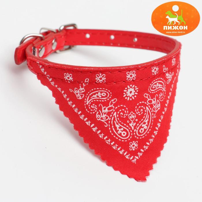 

Ошейник с косынкой 32 х 1 см, ОШ 22-28, красный