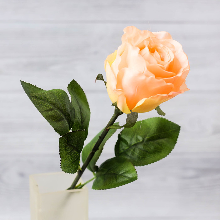 Роза со свитком–пожеланием «Признание в любви», 6,5 х 30 см